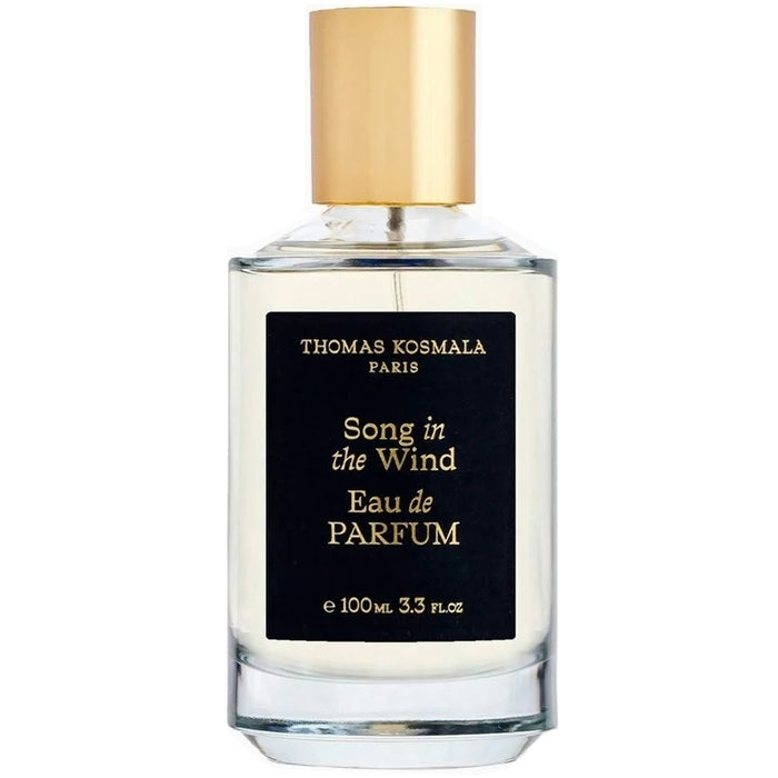 Thomas Kosmala Song In The Wind EDP